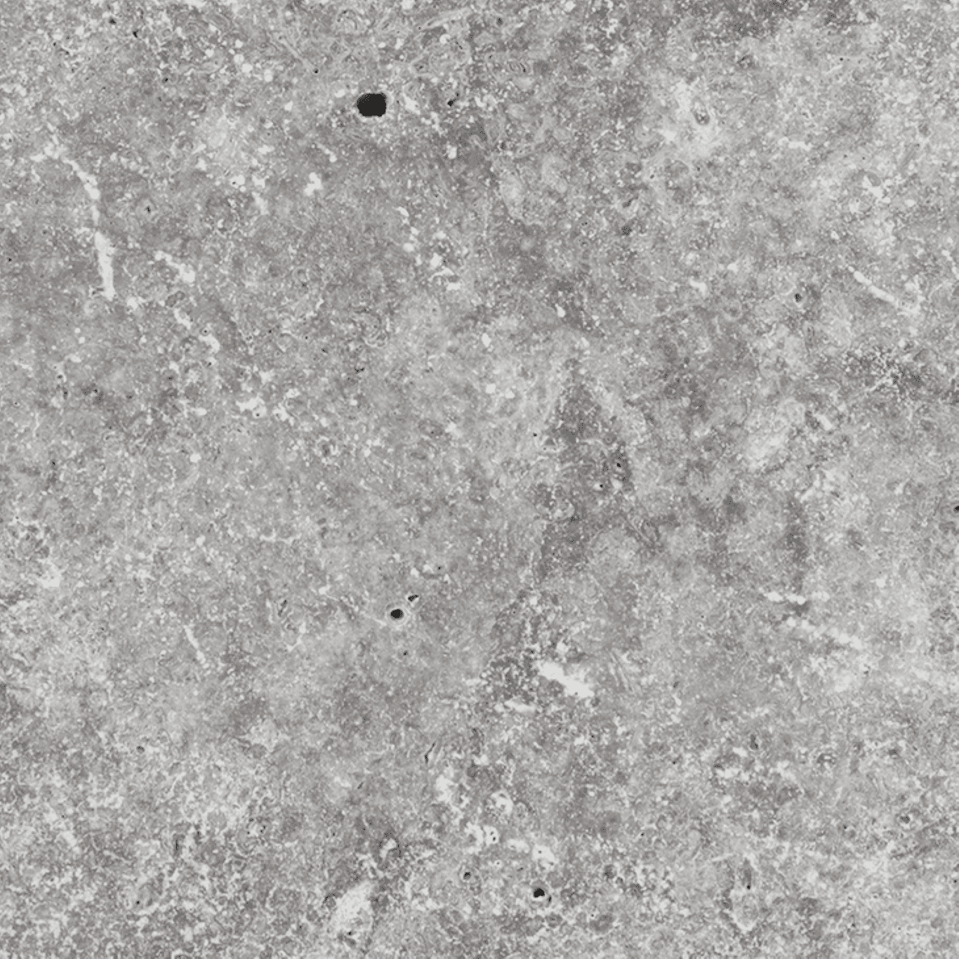 Silver Travertine 406x310x30 Half Bullnose