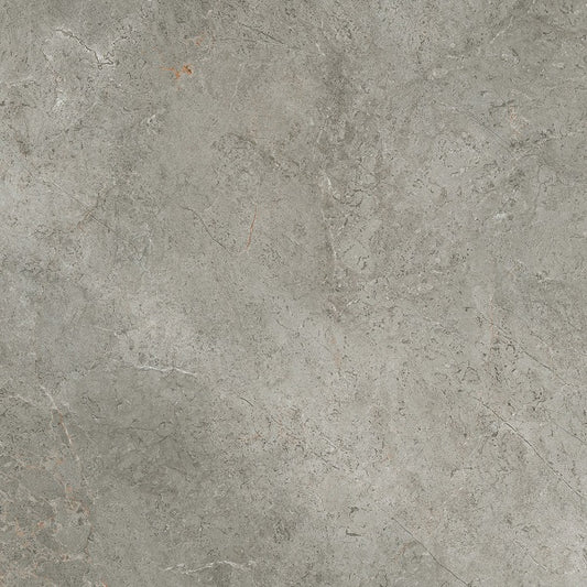 ARIA Silver Paver 600x600x20