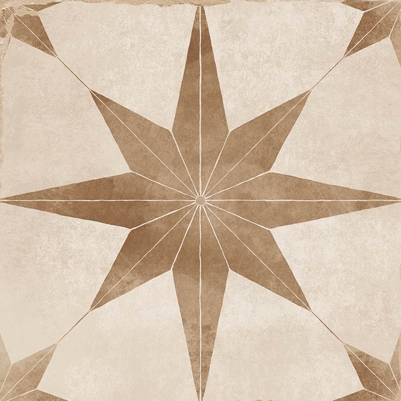 Star Terracotta Matt 200x200